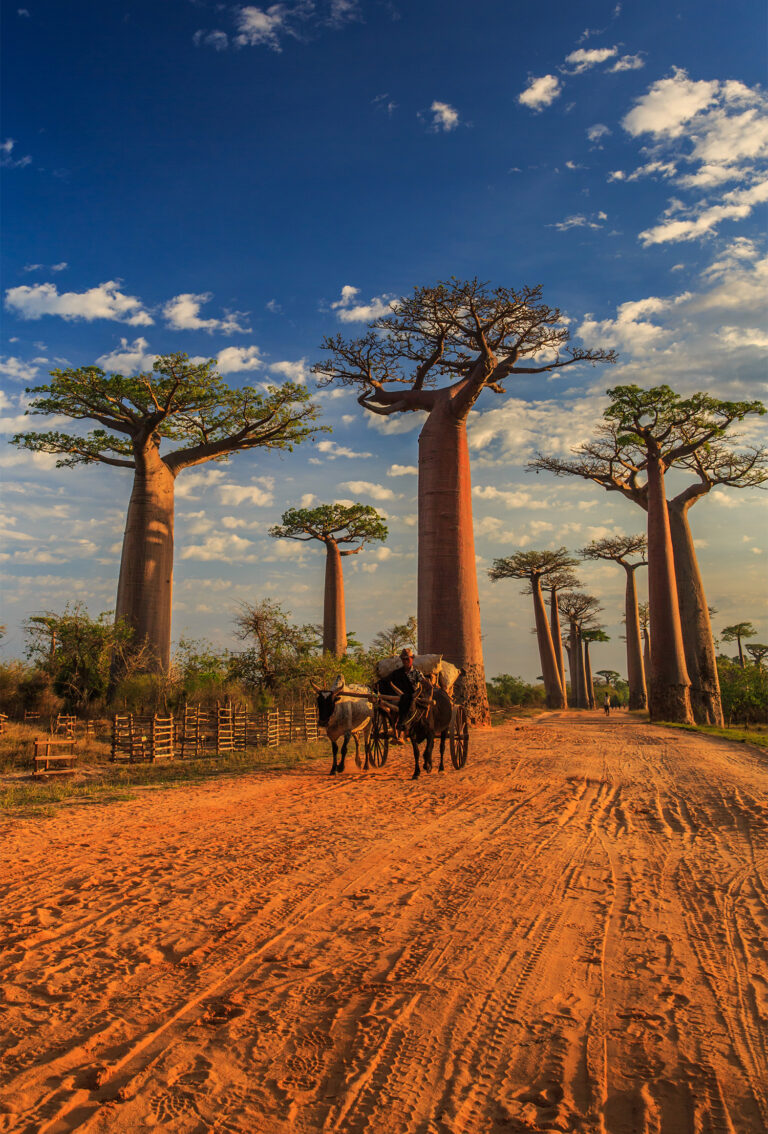 Madagascar Travel Guide Tripmasters Travel