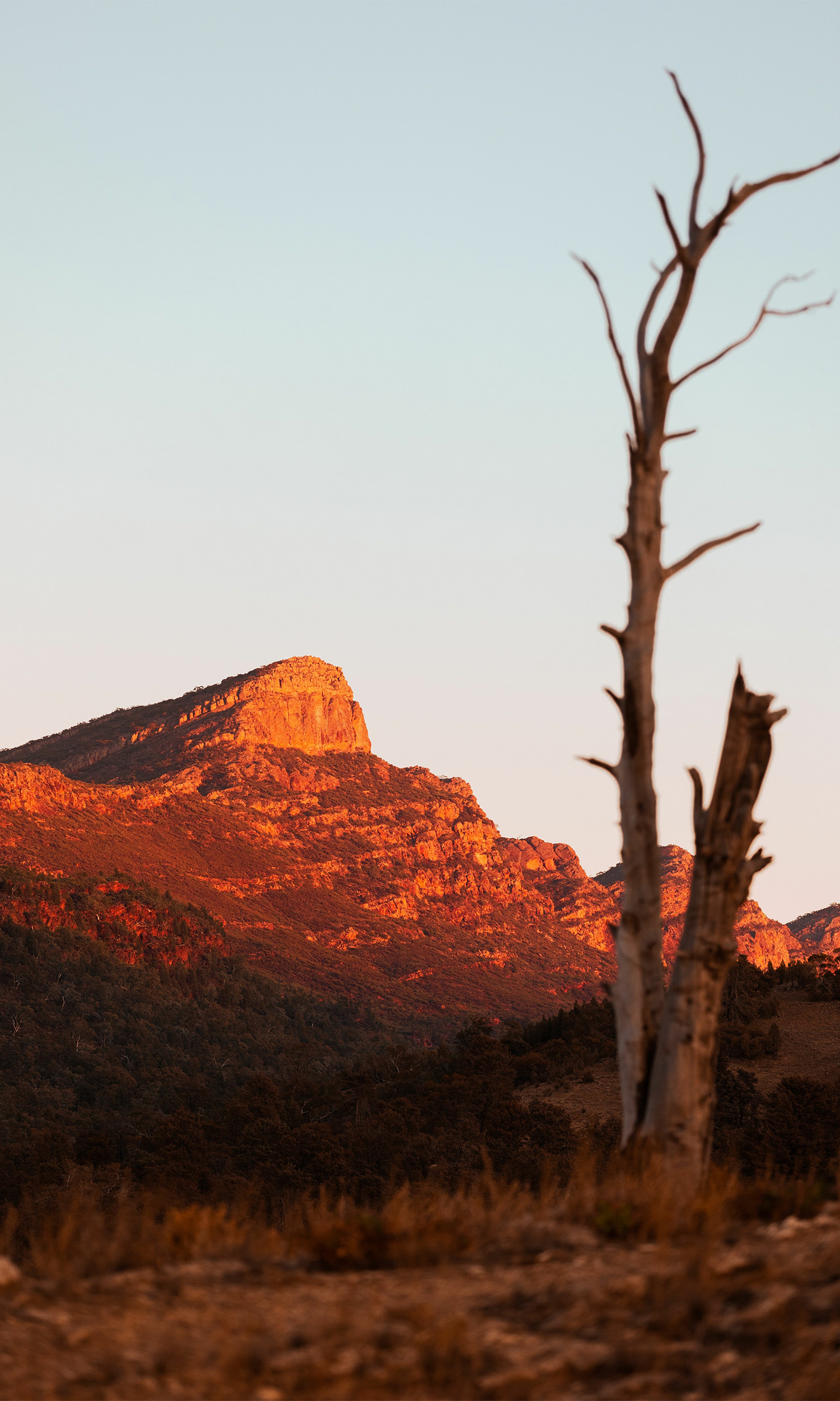 Nigeria visual data 2