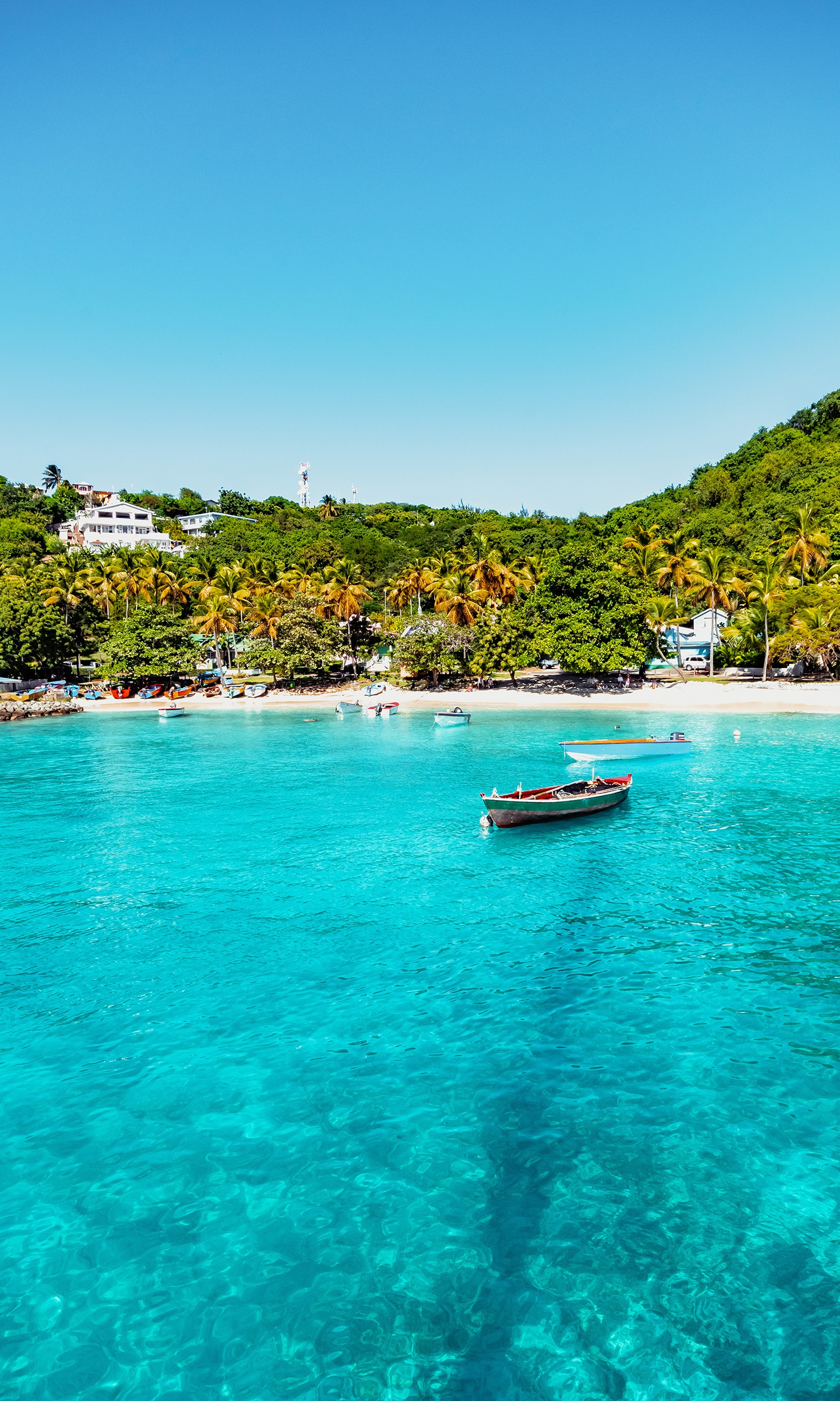 St Vincent and the Grenadines - Travel Guide - Tripmasters Travel