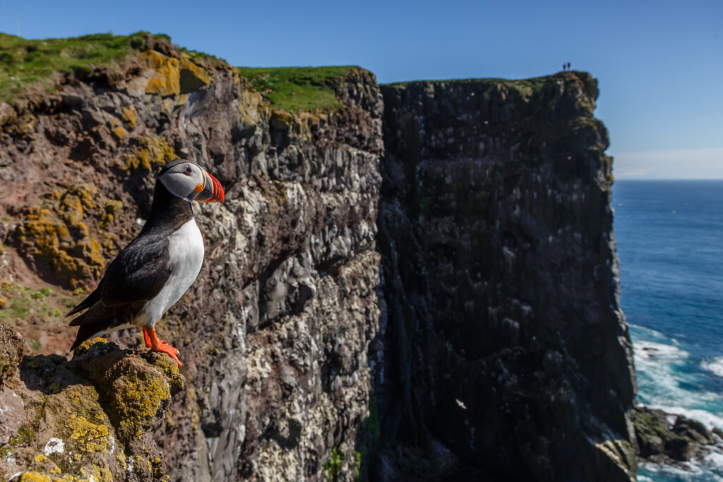 The Dramatic Coastal Scenes and Cliff Faces That Will Leave You Amazed