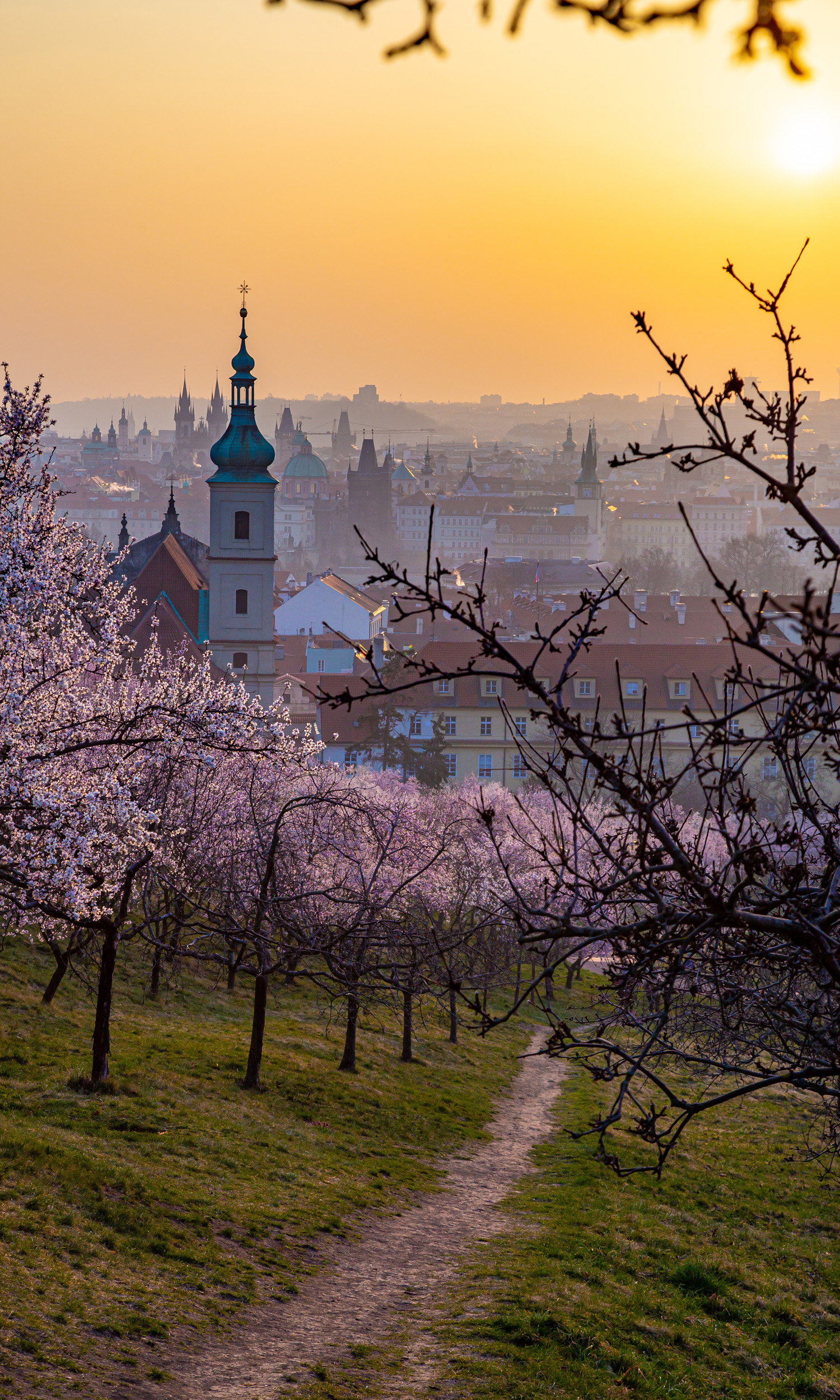 free travel guide to prague